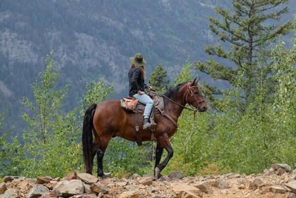 Horseback Riding Tours, Pemberton BC